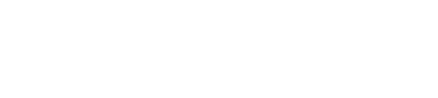 Bravura logo white