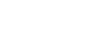 varbi-logo-white